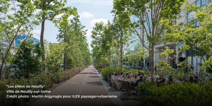 Prescripteurs du végétal dans l'urbanisme - Vente plantes pour collectivités à Paris